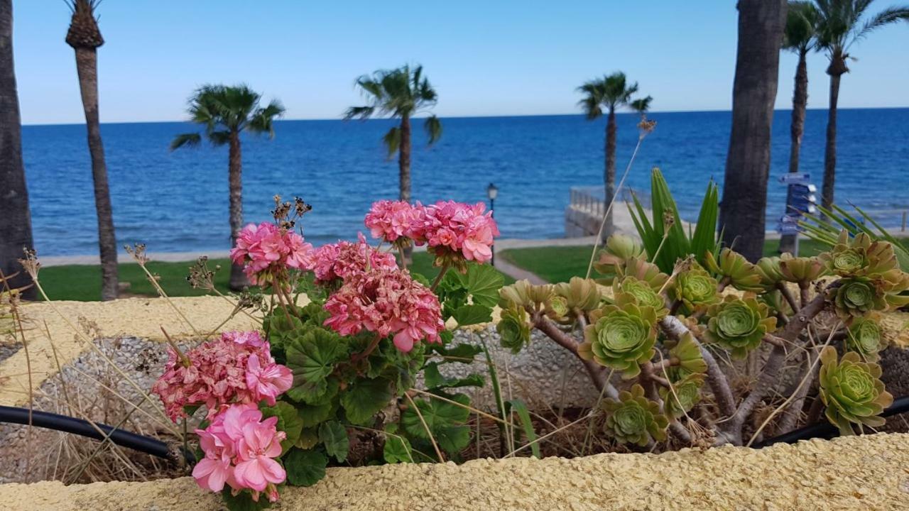 Magnificas Vistas Al Mar Apartment Oropesa del Mar Luaran gambar